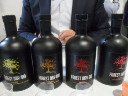 gin forest prodotti